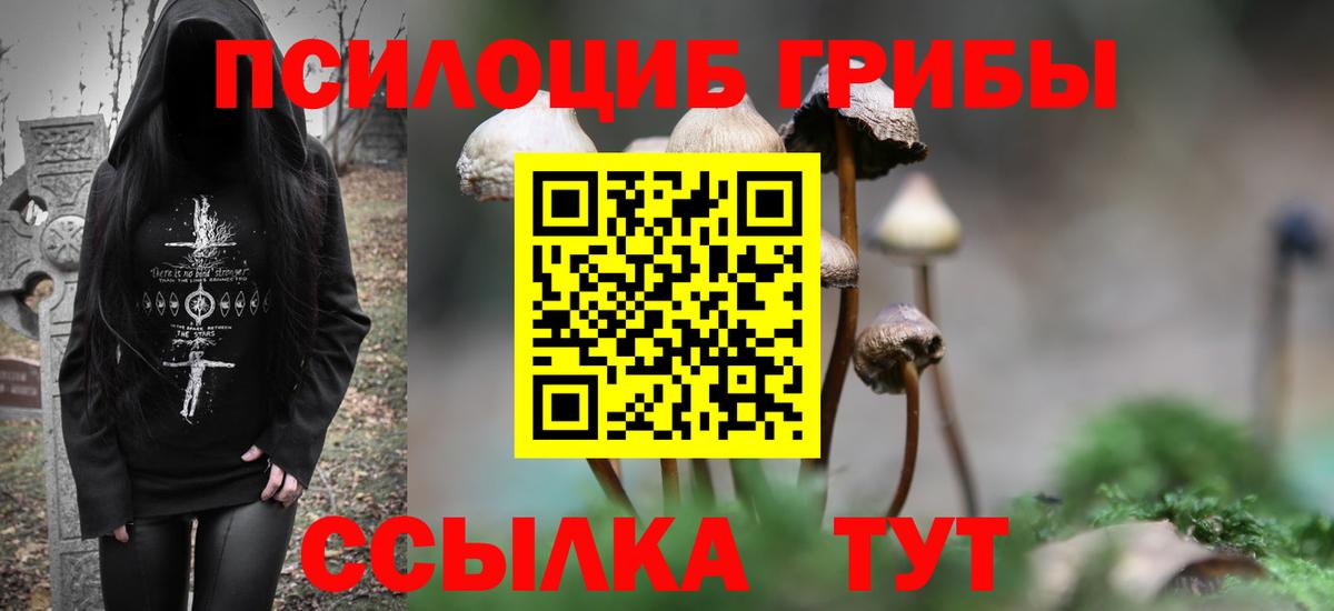 Галлюциногенные грибы Psilocybe  Псилоцибиновые грибы Cubensis  Вход с VPN  Чусовой 
